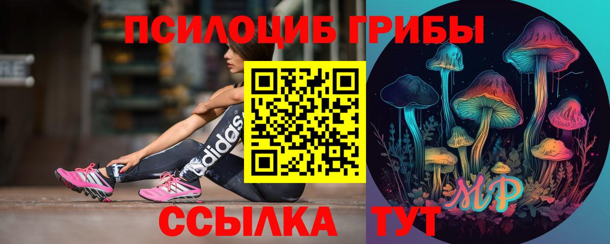 Псилоцибиновые грибы Psilocybine cubensis  Вход с VPN  Псилоцибиновые грибы мицелий  Изобильный 