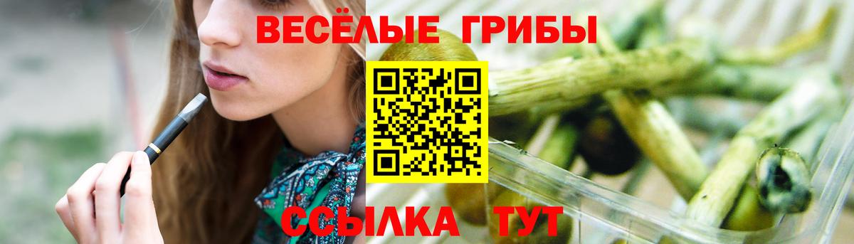 Галлюциногенные грибы Psilocybine cubensis Изобильный